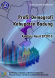 Demographic Profile Of Badung Regency 2010